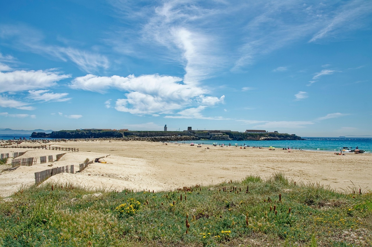 descubre todo sobre los aranceles: qué son, cómo funcionan y su impacto en el comercio internacional. aprende a navegar por el complejo mundo de las tarifas y optimiza tus estrategias comerciales.