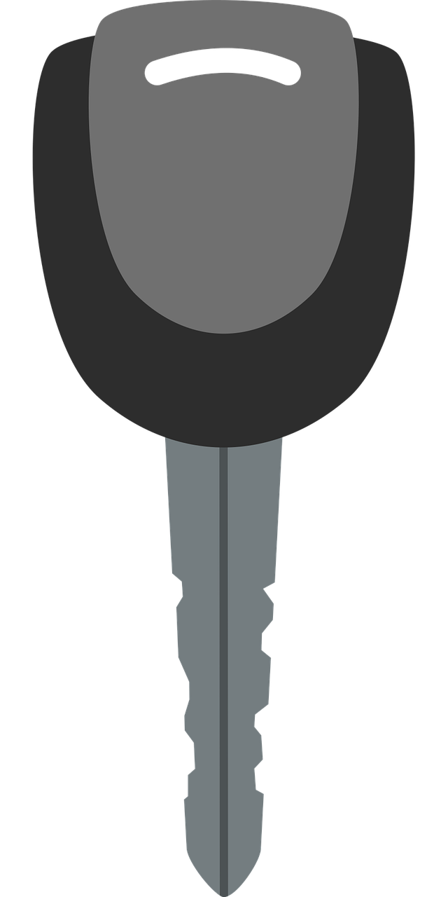 descubre todo sobre el acceso a vehículos: consejos, tecnología y soluciones para mejorar la seguridad y comodidad al entrar o gestionar tu coche.