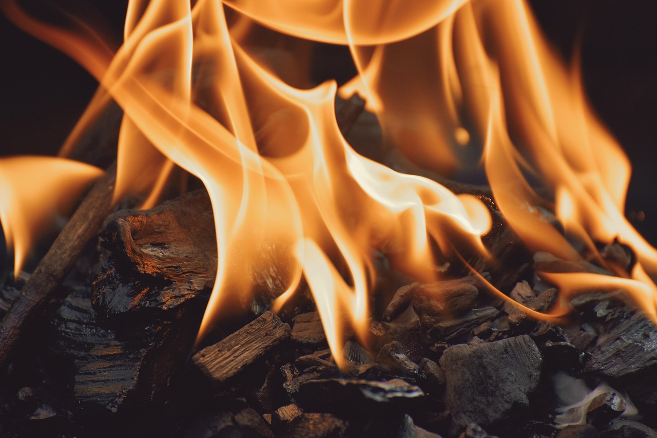 descubre todo sobre el 'fuego': su historia, usos, curiosidades y cómo ha impactado la vida humana desde tiempos antiguos hasta la actualidad.