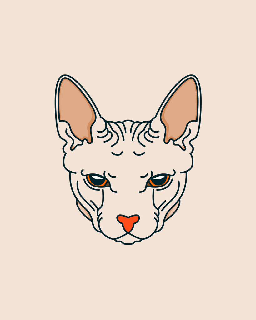 descubre una amplia variedad de coches usados a precios competitivos. encuentra el vehículo perfecto que se adapte a tus necesidades y presupuesto. ¡explora nuestras ofertas hoy mismo!