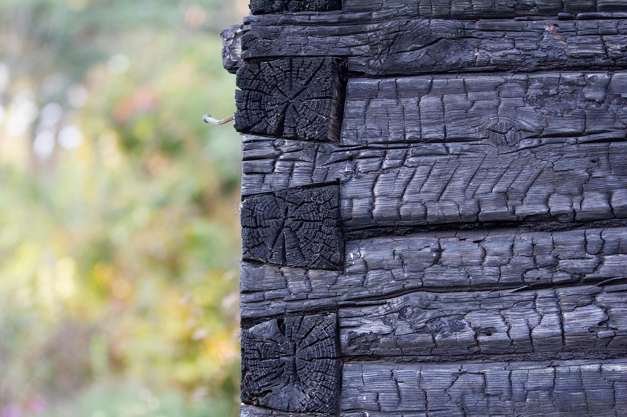 descubre el significado y las posibles causas de 'burned'. aprende cómo prevenir y tratar el agotamiento físico, mental o emocional en tu vida diaria.