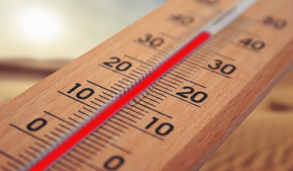 descubre cómo las olas de calor extremo afectan la salud, el medio ambiente y la vida diaria. consejos de prevención y últimas noticias sobre calor extremo en tu región.