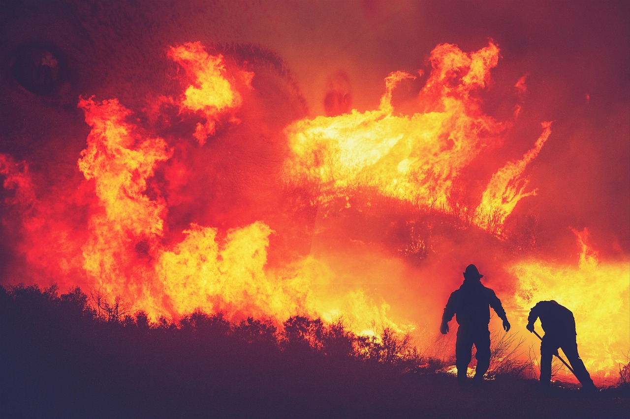 descubre todo sobre los riesgos de incendio, cómo prevenirlos y las mejores prácticas para proteger tu hogar y tu negocio frente a posibles amenazas de fuego.