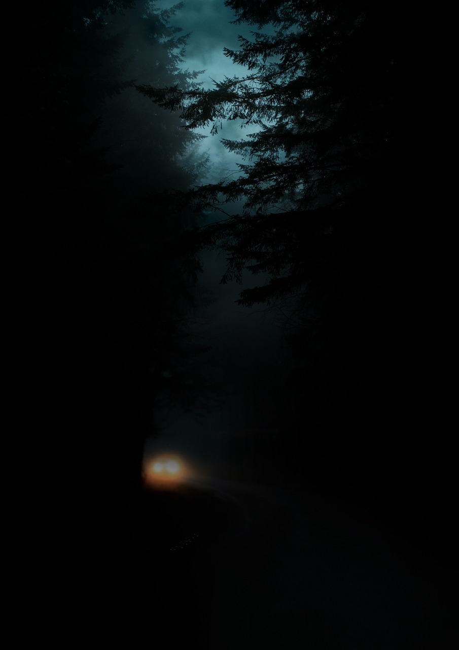 descubre ideas originales para decorar tu coche en halloween y sorprende a todos con tu creatividad. consejos, trucos y accesorios imprescindibles para un auto aterradoramente divertido.